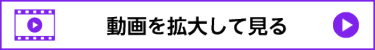 動画を拡大して見る